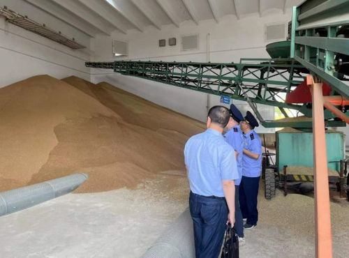 違規(guī)收購糧食被罰10萬元，南京公布一批典型案例加強糧食市場管理