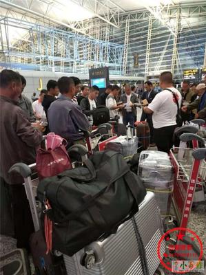 齊齊哈爾赴新西蘭勞務(wù)派遣 瓦工、電工與工廠工人的機(jī)遇與路徑